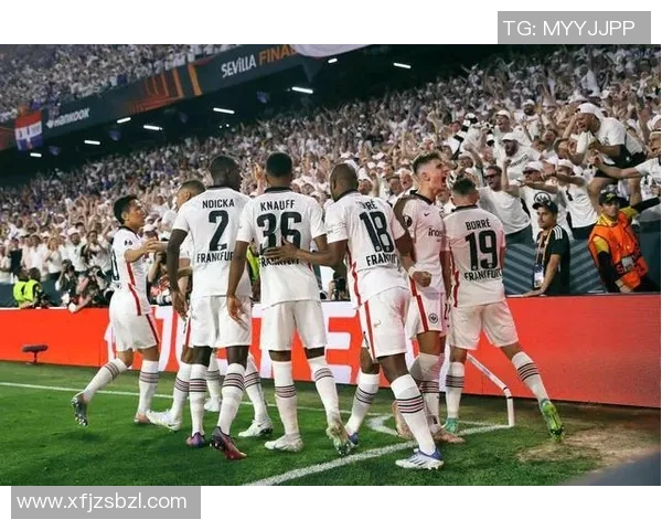 欧冠门票系统瘫痪数万球迷排队奋战12小时抢购心仪门票