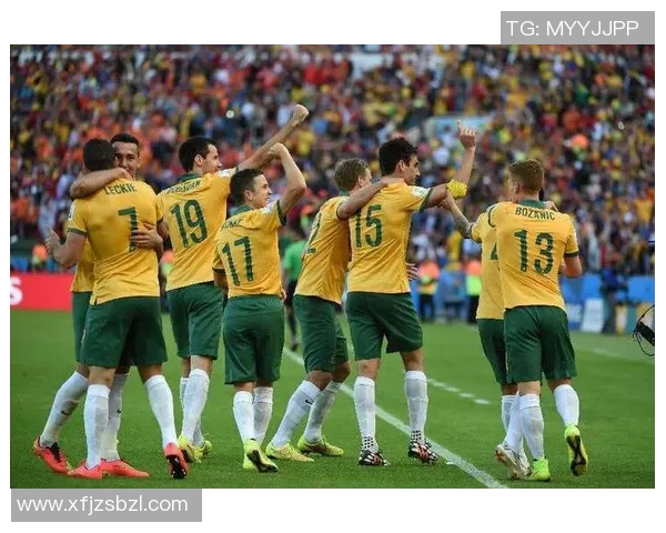 法国与澳大利亚足球对决精彩回顾与赛后分析