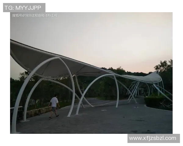 创新设计与应用探索户外体育设施膜结构的美学与功能结合